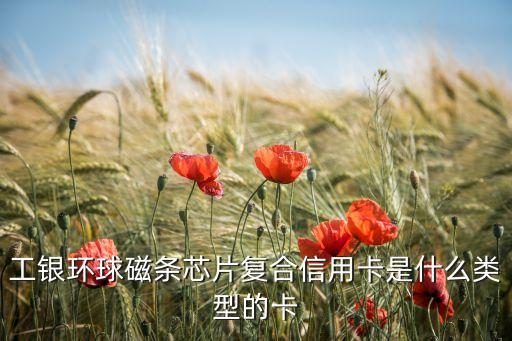 工銀環(huán)球磁條芯片復合信用卡是什么類型的卡