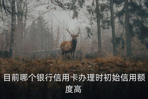 目前哪個(gè)銀行信用卡辦理時(shí)初始信用額度高