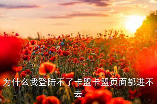 為什么我登陸不了卡盟卡盟頁面都進(jìn)不去