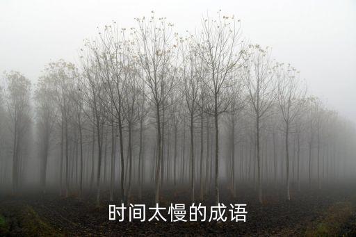 二卡時長形容什么，關(guān)于時間過得好慢的成語的成語有哪些