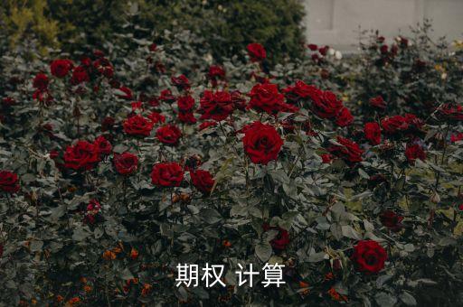 期權(quán) 計(jì)算