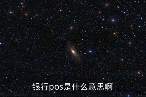 銀行pos是什么意思啊