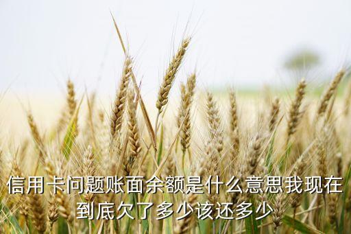 信用卡的賬面余額是什么意思，信用卡帳面余額是什么意思