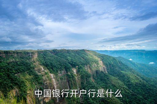 中國銀行開戶行是什么意思，中國銀行開戶行是什么