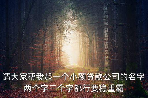 請(qǐng)大家?guī)臀移鹨粋€(gè)小額貸款公司的名字兩個(gè)字三個(gè)字都行要穩(wěn)重霸