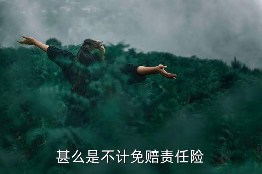 甚么是不計(jì)免賠責(zé)任險(xiǎn)