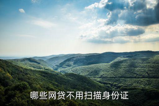 哪些網(wǎng)貸不用掃描身份證