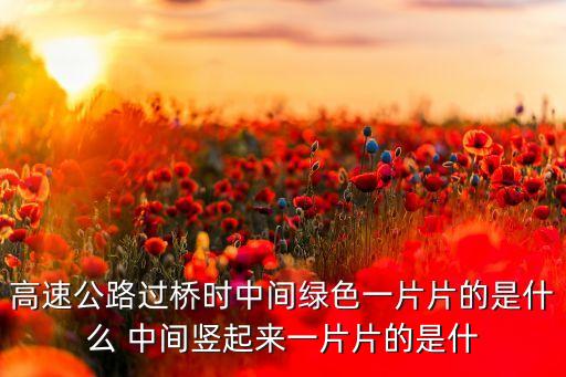 高速公路過(guò)橋時(shí)中間綠色一片片的是什么 中間豎起來(lái)一片片的是什