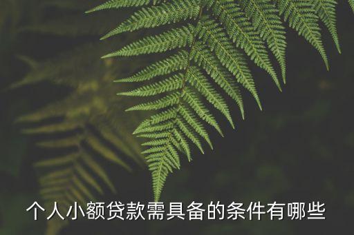個人小額貸款需具備的條件有哪些
