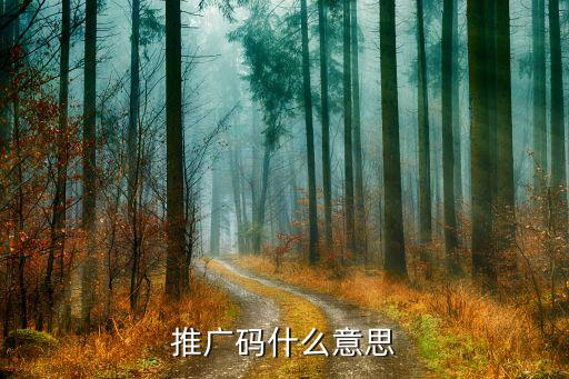 國(guó)泰君安推廣碼是什么意思，什么是推廣碼