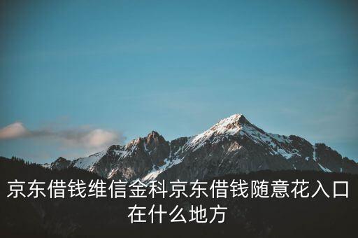 京東借錢維信金科京東借錢隨意花入口在什么地方