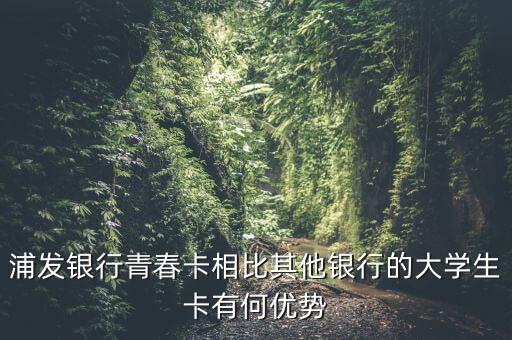 浦發(fā)青蔥卡有什么權(quán)益，浦發(fā)銀行信用卡青春卡額度倆千有夢想金嗎