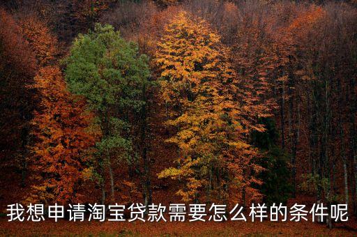 我想申請(qǐng)?zhí)詫氋J款需要怎么樣的條件呢