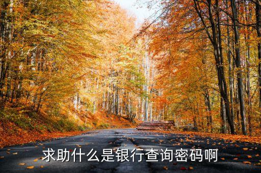 銀行的查詢密碼是什么，求助什么是銀行查詢密碼啊