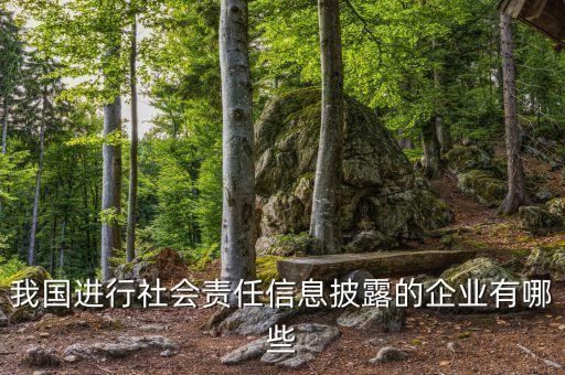 全披露經(jīng)濟商是什么，我國進行社會責(zé)任信息披露的企業(yè)有哪些