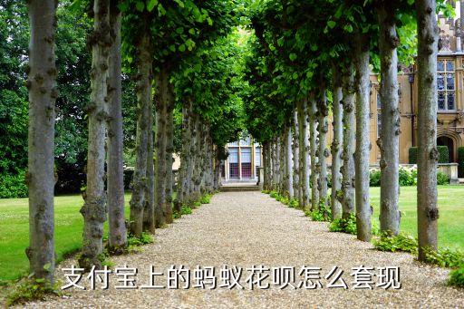 花唄怎么套現(xiàn)有什么用，花唄怎樣套現(xiàn)