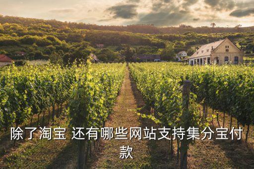 什么網(wǎng)店可以套現(xiàn)，什么購物平臺支持現(xiàn)金分期付款