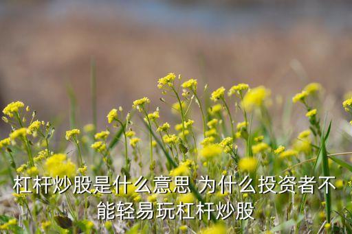 杠桿炒股什么意思，炒股杠桿是什么意思呢