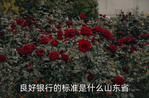 良好銀行的標(biāo)準(zhǔn)是什么山東省