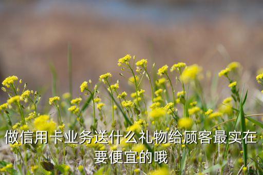 做信用卡業(yè)務(wù)送什么禮物給顧客最實在要便宜的哦