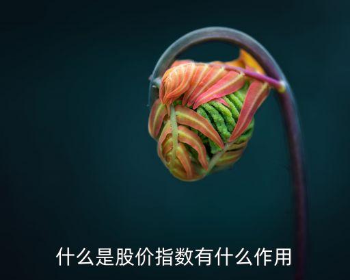 什么是股價指數(shù)有什么作用