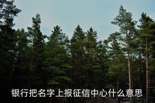 上信征什么意思是什么意思，上了征信有什么后果