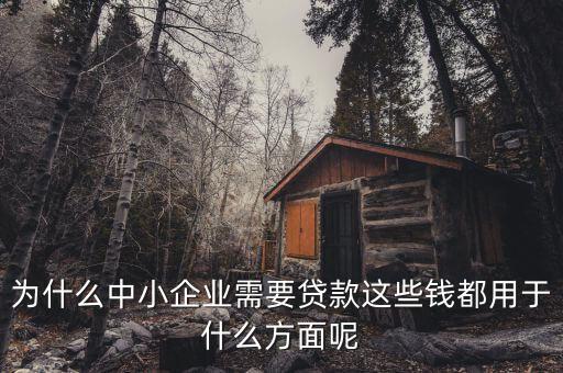 為什么中小企業(yè)需要貸款這些錢都用于什么方面呢