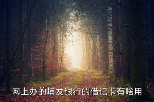 網(wǎng)上辦的埔發(fā)銀行的借記卡有啥用