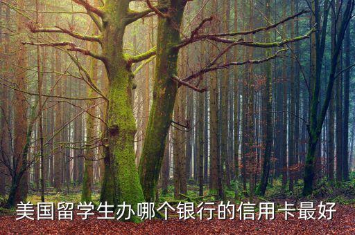 美國留學(xué)生辦哪個銀行的信用卡最好