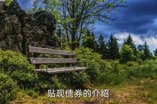 貼現(xiàn)債券的介紹