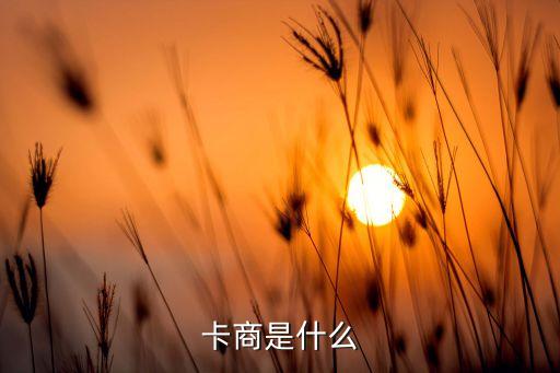 卡商是什么