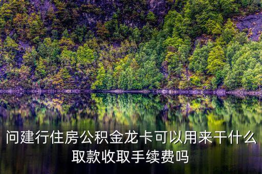 問建行住房公積金龍卡可以用來干什么取款收取手續(xù)費(fèi)嗎