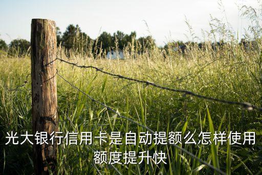 光大自動(dòng)提額什么情況，光大銀行額度12000元突然給我提固定24000元等于提額百分之