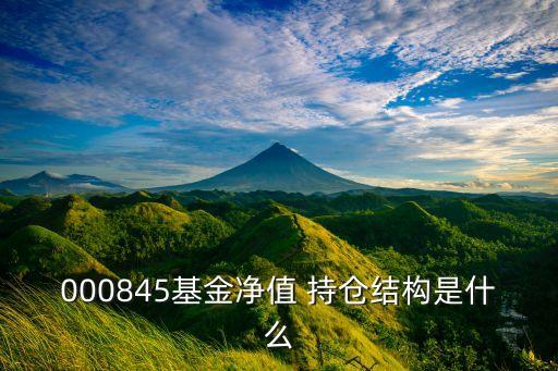 000845基金凈值 持倉結構是什么