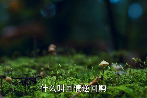 什么叫國(guó)債逆回購(gòu)