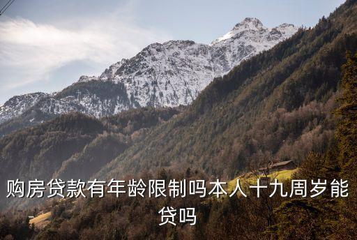 19歲申請房貸需要提供什么影響，19歲可以貸款嗎需要什么