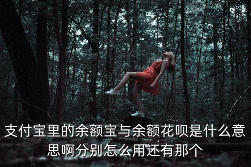支付寶里的余額寶與余額花唄是什么意思啊分別怎么用還有那個