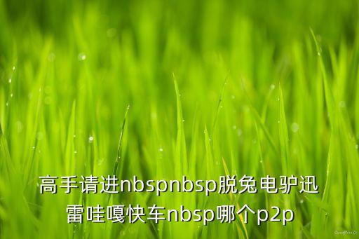 高手請進(jìn)nbspnbsp脫兔電驢迅雷哇嘎快車nbsp哪個(gè)p2p