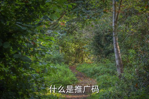 什么是推廣碼