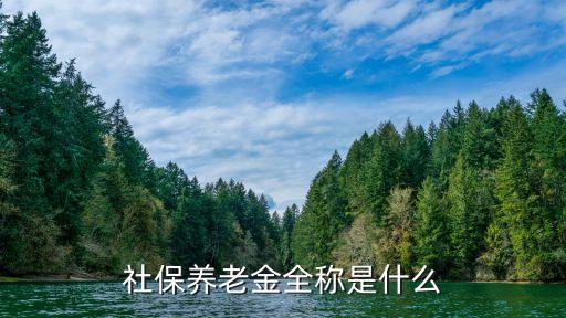 社會(huì)保障金是什么，社保養(yǎng)老金全稱是什么