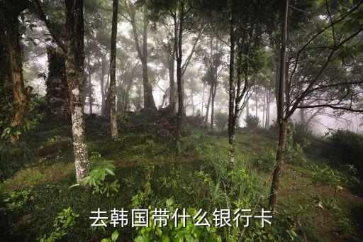 去韓國用什么銀行卡，韓國旅游帶什么卡