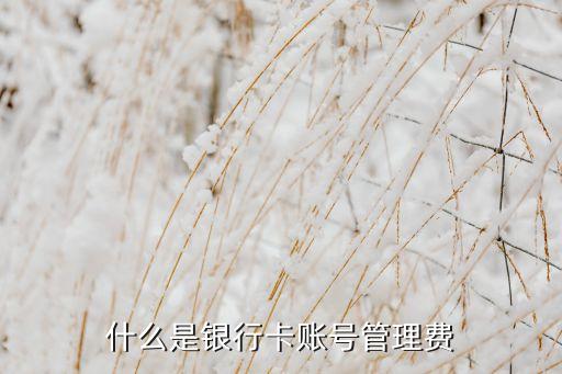 賬戶管理費(fèi)是什么，銀行賬管費(fèi)是什么費(fèi)