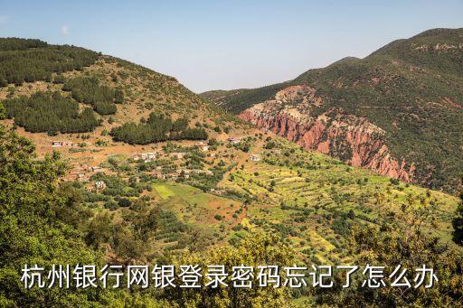 杭州銀行網(wǎng)銀登錄密碼忘記了怎么辦