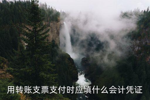 用轉(zhuǎn)賬支票支付時(shí)應(yīng)填什么會(huì)計(jì)憑證
