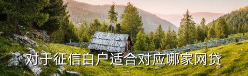 對于征信白戶適合對應(yīng)哪家網(wǎng)貸