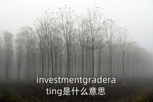 投資等級(jí)什么意思，信用等級(jí)在投資級(jí)以上什么意思