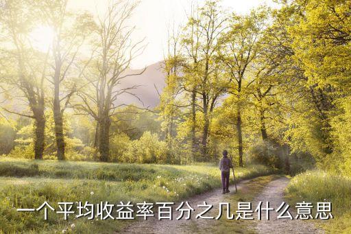 一個(gè)平均收益率百分之幾是什么意思