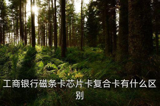工商銀行磁條卡芯片卡復合卡有什么區(qū)別