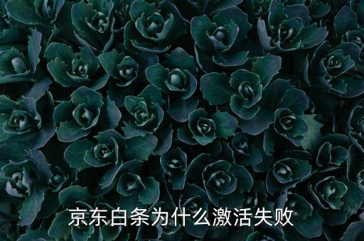 京東白條為什么激活失敗