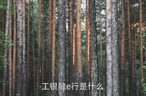 工行融e行 起什么作用，工銀融e行是什么